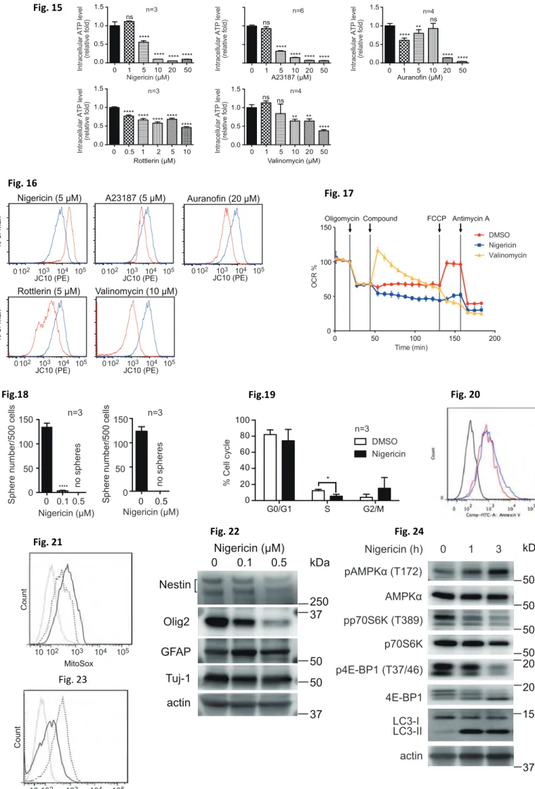 Fig. 21  Fig. 22  Fig. 24 