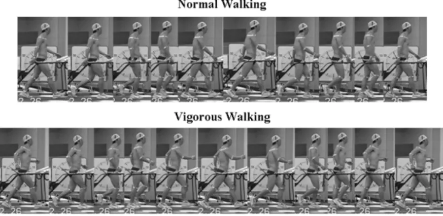 Figure 1. Representative photograph sequences of normal walking  (upper panel) and vigorous walking (lower panel)