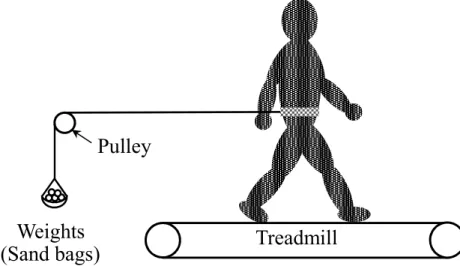 Figure 3. Schematic diagram of the experimental set-up 