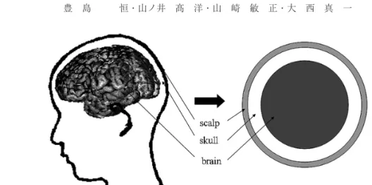 Fig． ２ Concentric 3−sphere model of the human brain (left : real head image, right : 3−sphere model)