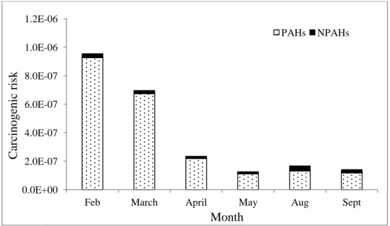 Fig. 7 Total carcinogenic risk calculated from the atmospheric concentrations of eight PAHs 