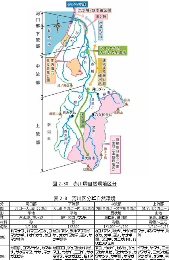 図 2-30  赤川の自然環境区分  表 2-8  河川区分と自然環境  区分 河口部 下流部 中流部 上流部 区間 河口∼大山川合流点 大山川合流点∼内川合流点 内川合流点∼梵字川合流点 梵字川合流点∼源流 地形 平地 平地 扇状地 山地 特性 汽水域、放水路 蛇行区間、ワンド 瀬と淵、礫河原 渓流、瀬と淵 河床材料 砂 砂 砂礫 砂礫∼玉石 河床勾配 1/1,100 1/2,500 1/1,000∼1/190 1/140∼1/15 植物相 ハマナス、ハマニンニク、コマツナギ、ノダイオウ、クロ マツ林等 