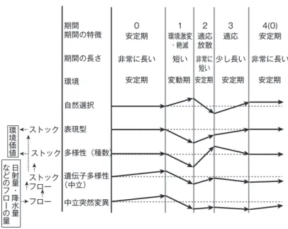 図 1  中立突然変異 と 生物多様性 の 関係 （吉村（ 2009 ） p.70 を 基 に 筆者 が 加筆） 図 2  最大呼吸仮説 （鷲田（ 1994 ） p.62 を 参照 に 、筆者 が 加筆）期間期間の特徴0 1 2 3 4(0)安定期環境激変・絶滅適応放散適応 安定期非常に長い安定期変動期安定期安定期安定期短い 非常に短い 少し長い 非常に長い期間の長さなどのフローの量環境価値日射量・降水量ストックストックストックフローフロー環境自然選択表現型多様性（種数）遺伝子多様性（中立）中立突然変異生産