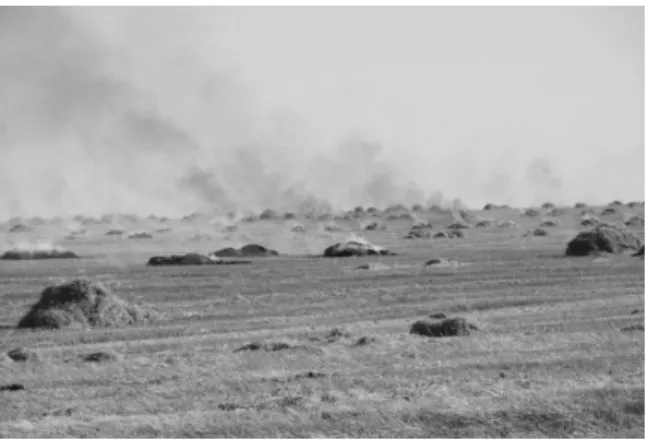 Fig. 1. Farmers continue using bailers in their harvesters, storing piles of straw close to field edges and then burning  them during dry and windy days