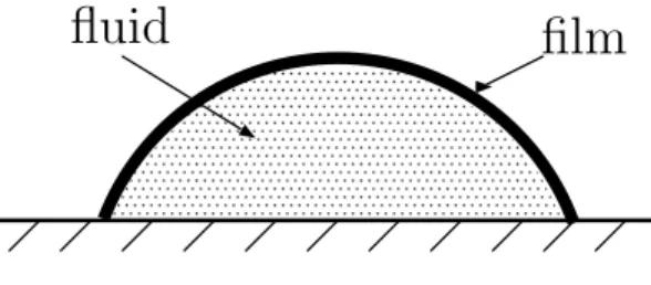 Figure 5.3: Coupled model.