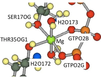 Figure 2.2: The structure of the Mg-subsystem of the H-ras GTP complex