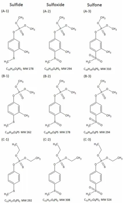 Fig. 1.1 Chemical structures of sulfide, sulfoxide and sulfone. 