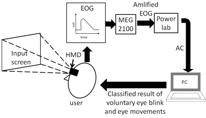 図 2.2: Human-computer interface by horizontal directional eye movements and voluntary blinks 考えると，電極を装着した直後に使用可能となることが望ましい。 一方，交流増幅した EOG は，眼球を動かしたときに発生する電位が時間とともに減衰 するため，眼球の回転角 θ を絶対角度で測定することが困難である。そのため，交流増幅 した EOG では，眼球の回転角 θ は，相対角度で測定する。しかし，直流増幅した EOG に