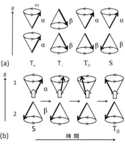Fig. II-2 Vector model of radical pair  (a) spin states of radical pair 