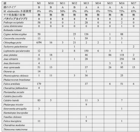 表 5-2 取 Lake Storbel Plateau る調査結果