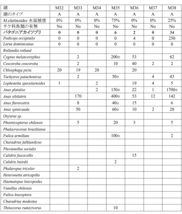 表 7 取 Basaltica Plateau る調査結果