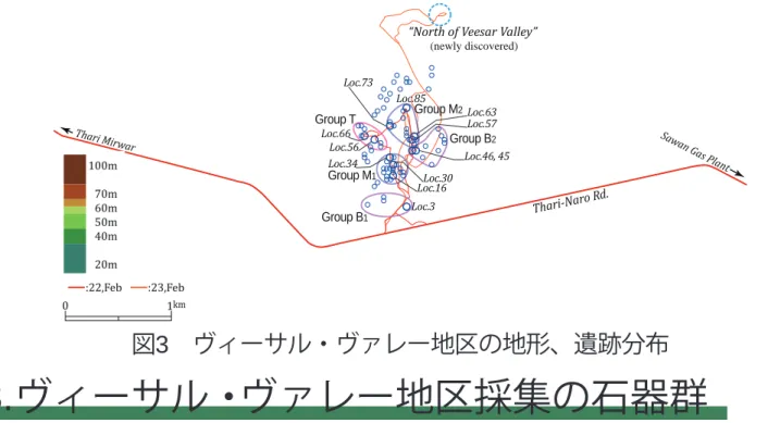 図 9  “North of Veesar Valley” 地区採集の石器群 （参考）