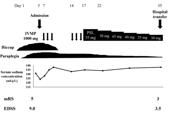 Fig. 3 Clinical course.