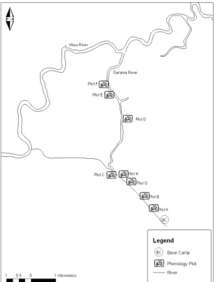 Fig3 取 Cumulative number of tree species against the  number of trees sampled in the botanical plots at  Garama 