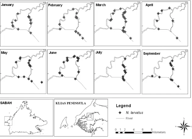 Fig5 取 Monthly distribution of Proboscis Monkey groups in Garama from January to September 2008  Data in August 2008 is not available due to illness of principal researcher  