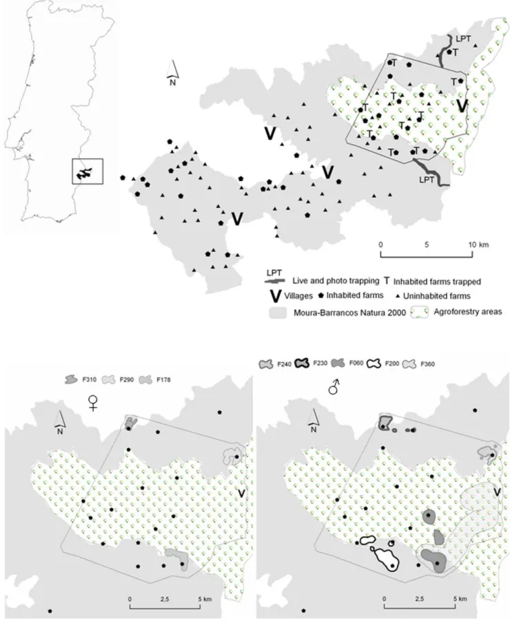 Figure 1. Study area defined by the Moura-Barrancos Natura 2000 site and the surrounding agroforestry area