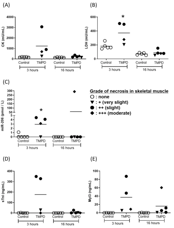 Fig. 3. Changes in the levels of circulating CK (A), LDH (B), miR-206 (C), sTnI (D) and Myl3 (E) levels  in TMPD-treated rats