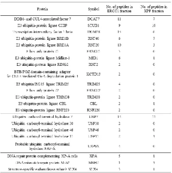 Table 1.    Proteomic analysis data on E3 ligases and deubiquitinases. 