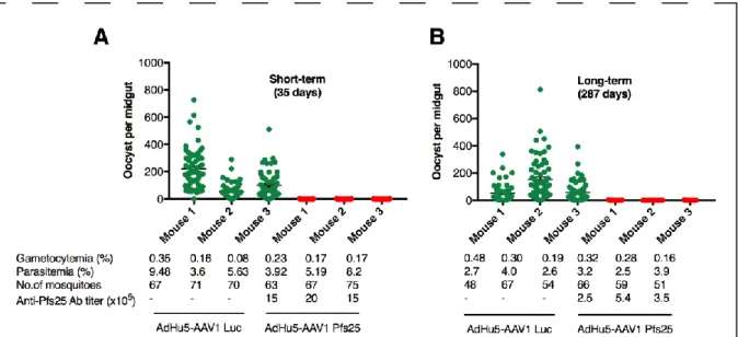 Table  2.  Transmission-blocking  activity  of  AdHu5-Pfs25-prime/AAV1-Pfs25-boost  immunization regimen  Group  Mean intensity  SEM  (oocysts per  midgut)  Mean prevalence  SEM (% infected mosquitoes)  TRA (%)a TBA (%)b Short-term (35 days)  AdHu5-AAV1 