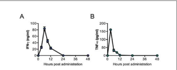 Figure  4:  Kinetics  of  proinflammatory  cytokines  (IFN-γ  and  TNF-α).  Kinetics  of  proinflammatory cytokines, IFN-γ (A) and TNF-α (B) in the sera at different timepoints  post-BV intravenous administration (10 7  pfu) (n = 6)
