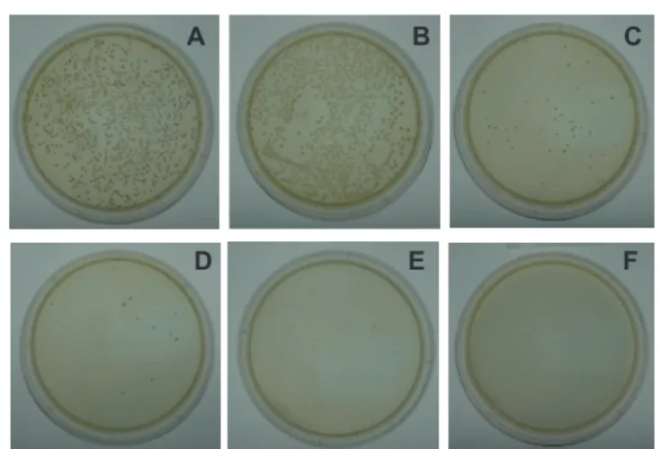 Figure 3: In vitro temporal profile of iodine content in implants, showing an  initially rapid attenuation, followed by a more gradual attenuation during  incubation in phosphate-buffered saline (PBS)