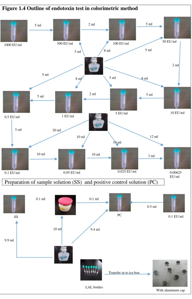Figure 1.4 Outline of endotoxin test in colorimetric method 