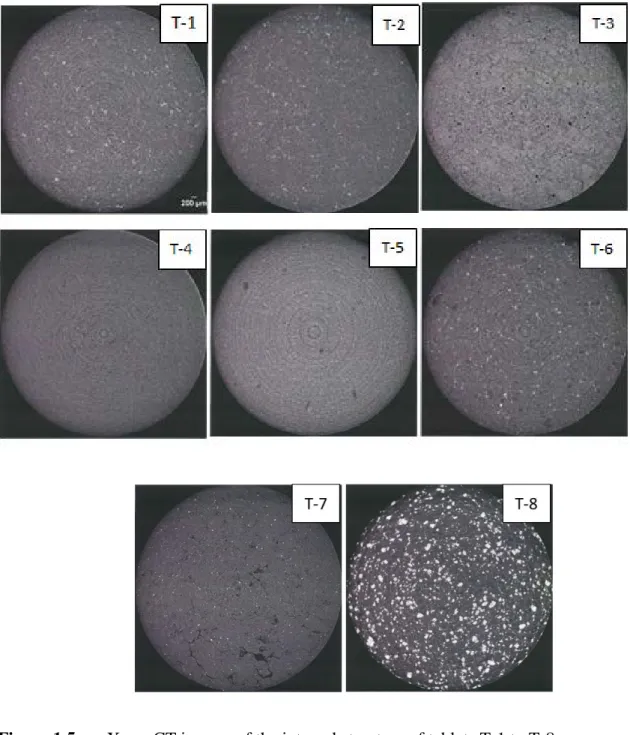 Figure 1.5.   X-ray CT images of the internal structure of tablets T-1 to T-8.   