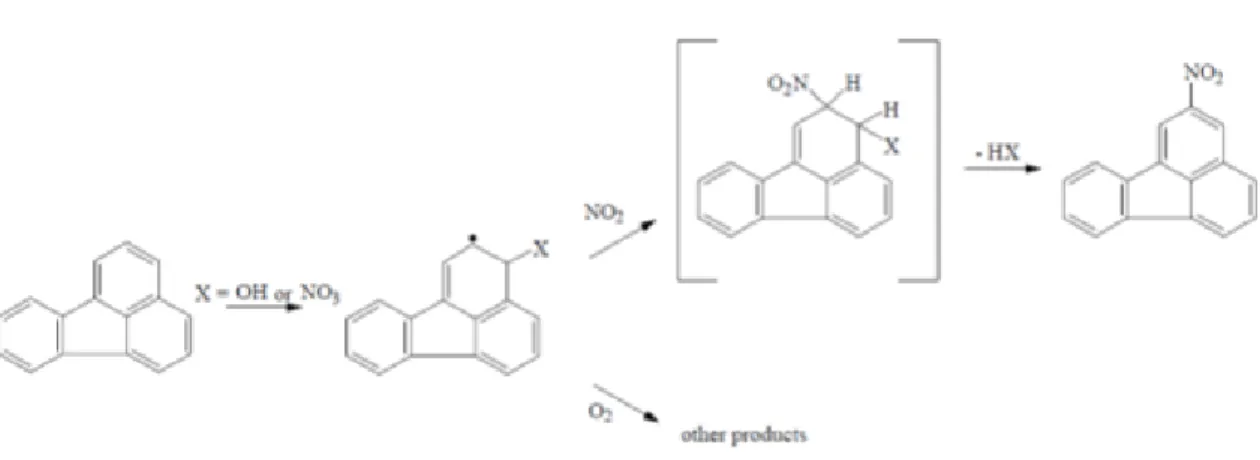 Fig. 1.3 Gas phase reaction of 2-nitrofluoranthene (2-NFR) 
