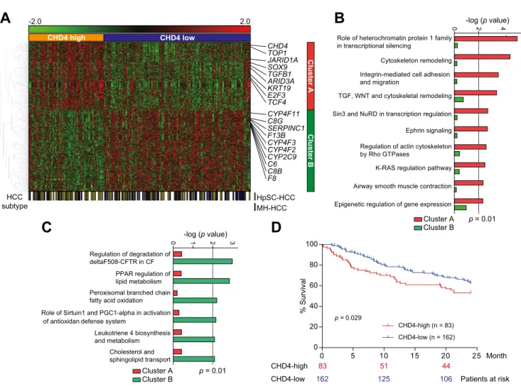 Fig. 2. Transcriptome analysis of CHD4-high and CHD4-low HCCs. (A) Hierarchical cluster analysis of 726 genes with P1.2-fold difference in expression between CHD4- CHD4-high and CHD4-low HCCs