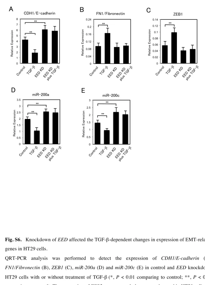 Fig. S6.   Knockdown of EED affected the TGF-β-dependent changes in expression of EMT-related 
