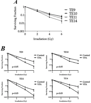 Figure 1. ESCC cell growth inhibition by VPA. Cell viability was assessed by  MTT assay