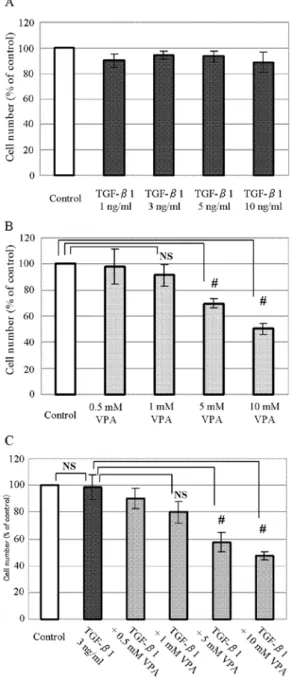 Figure 2. Phase contrast microscopic findings. (A and C) Untreated control  group showed myofibroblast-like morphology after incubation for 7 days  and TGF- β 1 (3 ng/ml) accelerated the morphological change