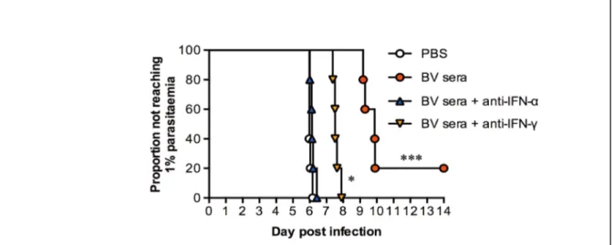 Fig.  3:  IFN-α  induced  by  BV  intramuscular  administration  contributes  to  elimination of liver-stage parasites
