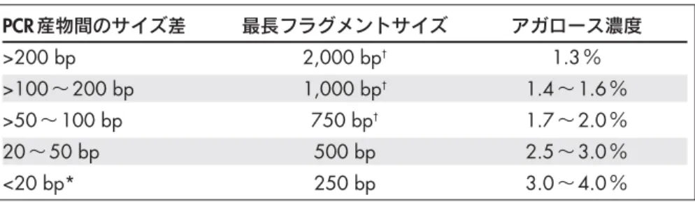 表 4. マルチプレックス PCR 産物をアガロースゲル解析する際のガイドライン PCR 産物間のサイズ差 最長フラグメントサイズ アガロース濃度 >200 bp 2,000 bp † 1.3 ％ >100 ∼ 200 bp 1,000 bp † 1.4 ∼ 1.6 ％ >50 ∼ 100 bp 750 bp † 1.7 ∼ 2.0 ％ 20 ∼ 50 bp 500 bp 2.5 ∼ 3.0 ％ <20 bp* 250 bp 3.0 ∼ 4.0 ％ * 約 20 bp のサイズ差の 