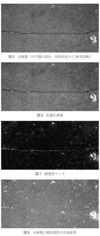 図 6 色補正画像