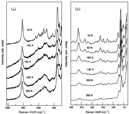 Fig.  2.11.  Pb(Yb 0.5 Ta 0.5 )O 3 の各温度におけるラマンスペクトル  (a) 1020-300 cm  1 ，  (b) 300-20  cm  1 [19] 