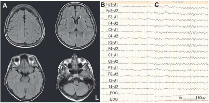 Fig. 2 Clinical course.