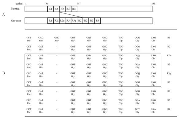 Fig. 3 Nucleotide and amino acid sequences.