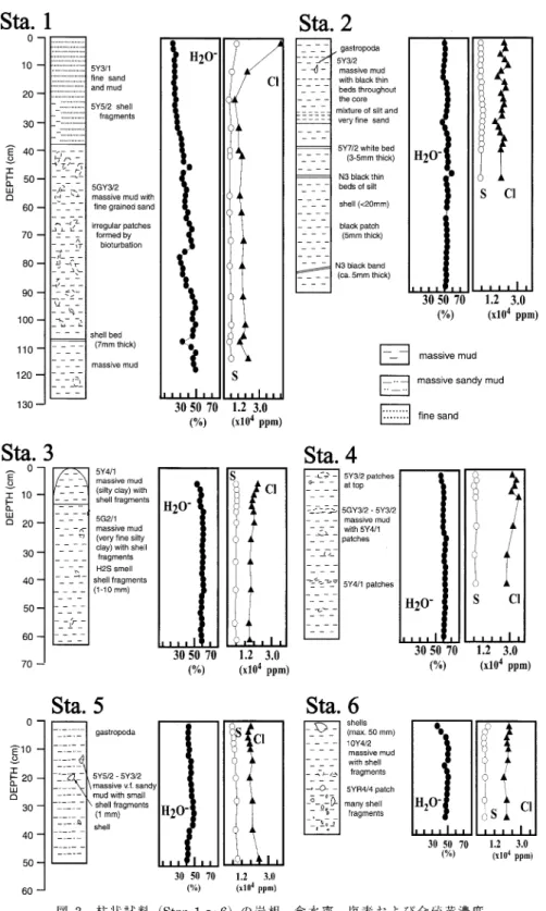 Fig.  3  Core  descriptions  and  depth  profiles  of  H2O-,  Cl  and  total  sulfur  in  core  samples  of  Stas