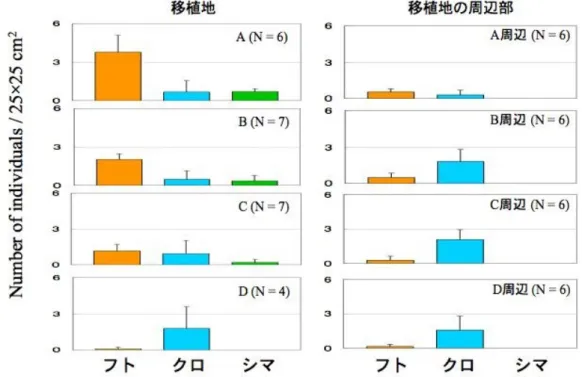 図 1 8  移 植 地 と 移 植 地 周 辺 の 裸 地 に お け る ヘ ナ タ リ 類 ３ 種 の 個 体 密 度 ( b ) 人 工 シ ェ ル タ ー の 設 置   人 工 シ ェ ル タ ー で は ， ヒ ラ ド カ ワ ザ ン シ ョ ウ と ア ズ キ カ ワ ザ ン シ ョ ウ が 多 数 見 ら れ た （ 図 1 9 ） ． 人 工 シ ェ ル タ ー の 種 類 間 で は 有 意 差 は な か っ た が ， 裸 地 で は ほ と ん ど 両 種 の カ ワ ザ ン シ