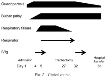 Fig. 2 Clinical course.