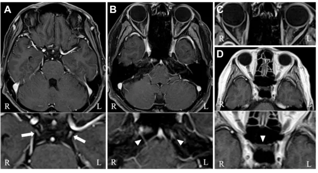 Fig. 2 Clinical course.