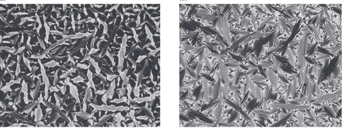 Fig. 3. Optical textures of (a) batonnets (168℃) and (b) focal- conic fan (158℃) in SmA phase of  ChGly 8