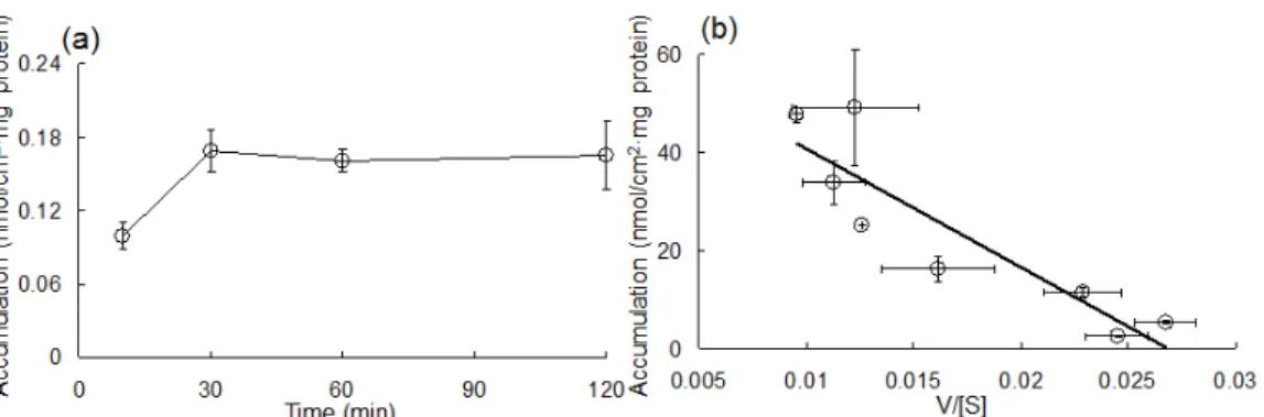Figure 5. Uptake of imatinib into Caco-2 cells. (a) Uptake of imatinib (50 μM) over  time