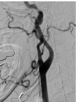 Fig. 6 The clinical course.