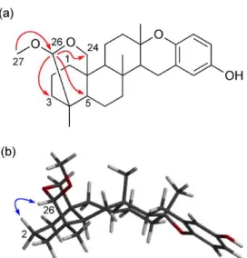 Figure 2. Key HMBC correlations (red arrows) (a) and a key NOE correlation (blue arrows)  for  the  energy-minimized  conformation  of  1  calculated  by  Spartan’14  (Wavefunction,  Inc.)  (b)