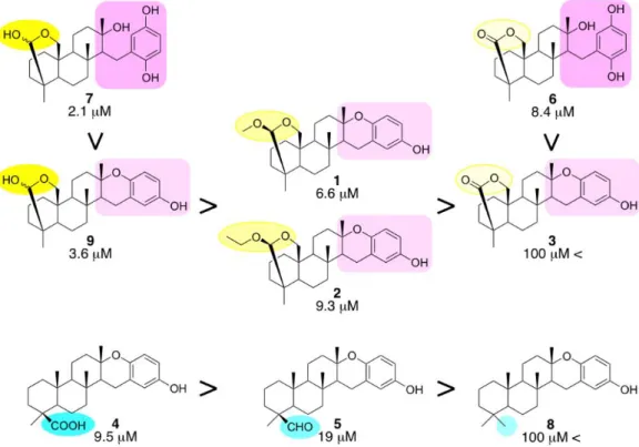 Figure 3. Structure-activity relationships of 1-9 with their IC 50  values for the inhibition of the  proteasome