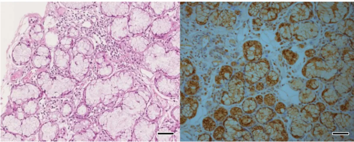 Fig. 3 Clinical course.