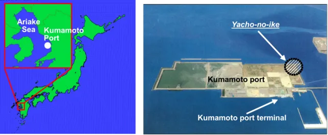Fig.  1  Location of study site (the artificial pond Y acho-no-ike in  the Ariake Sea) 