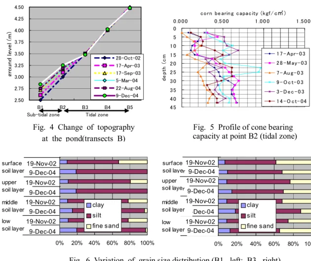Fig.  4  Change  of  topography  at  the  pond(transects  B)